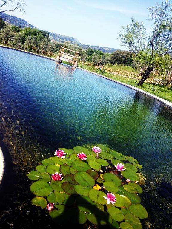 Agriturismo Il Poderino 비보나 외부 사진
