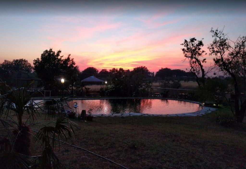 Agriturismo Il Poderino 비보나 외부 사진