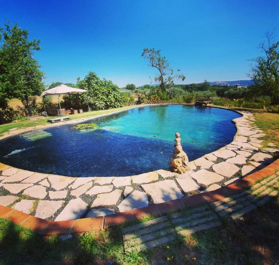 Agriturismo Il Poderino 비보나 외부 사진
